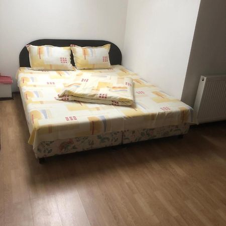 潘索尼尔住宅旅馆 Râmnicu Vâlcea 外观 照片